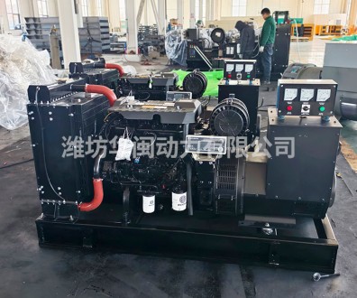 50KW仪表发电机组（66）